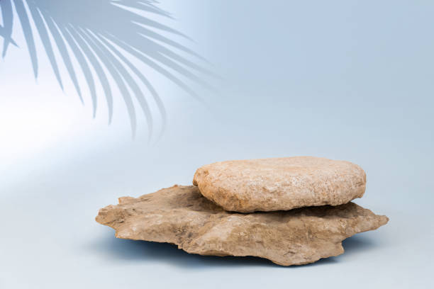 istock Stone podium for cosmetic product presentation. Abstract minimal backdrop. Two rock forms, palm leaf shadow, sunlight. Scene to show. Showcase, display case. 3D Front View. Trendy summer blue color. 1481649436