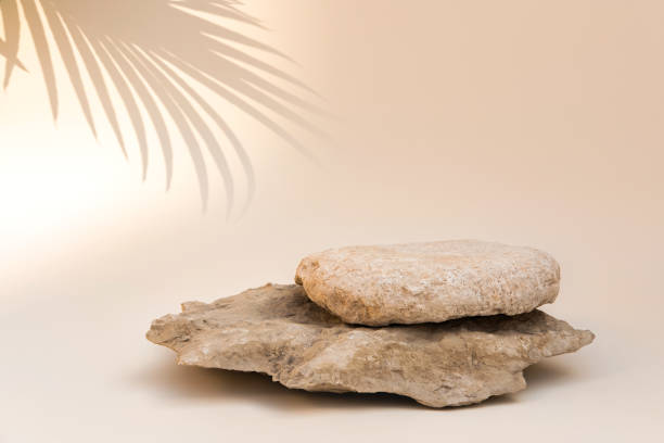istock Stone podium for cosmetic product presentation. Abstract minimal backdrop. Two rock forms, palm leaf shadow, sunlight. Scene to show. Showcase, display case. 3D Front View. Trendy summer nude color. 1481649458