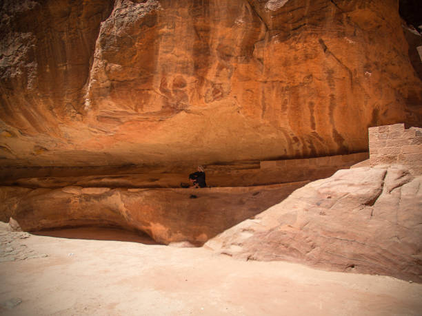 nascondersi dal sole a petra - hiding donkey mule animal foto e immagini stock