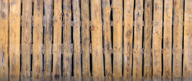 istock Old yellow-brown plank partition wall against dark background 1481656445
