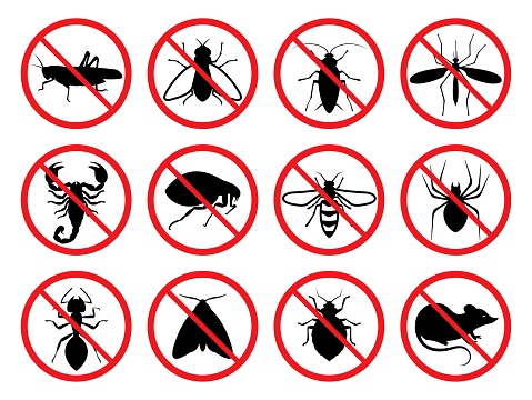 Pest control. Icon set
