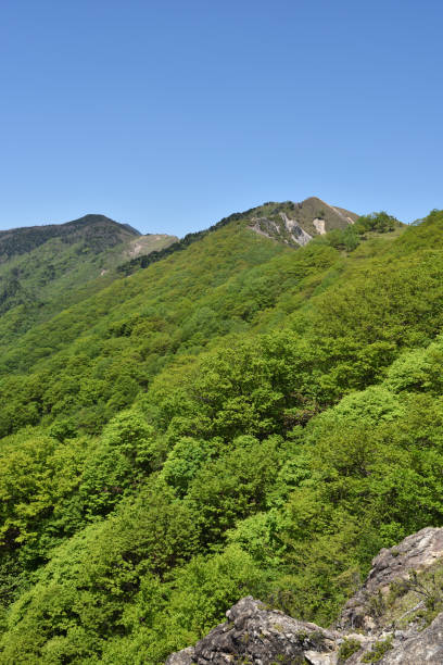 istock Climbing Mt. Nakakura, Tochigi, Japan 1481658813