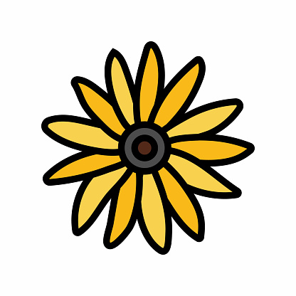 black eyed susan flower spring color icon vector. black eyed susan flower spring sign. isolated symbol illustration