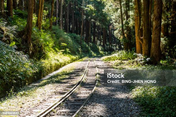 Alishan Forest Recreation Area In Chiayi Taiwan Stock Photo - Download Image Now - Rail Transportation, Alishan National Scenic Area, Asia