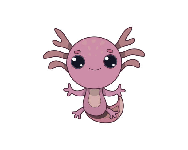 illustrazioni stock, clip art, cartoni animati e icone di tendenza di icona colorata isolata del vettore axolotl. icona del vettore animale axolotl. icona di axolotl - young animal sea life amphibians animals and pets