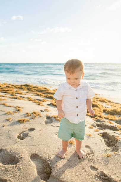 白い半袖のボタンダウンシャツと青いショートパンツを着た1歳の男の子が、2023年春にフロリダ州パームビーチで開催される黄金の日の出の間に初めてビーチの素晴らしさを楽しんで発見す� - palm people white brown ストックフォトと画像