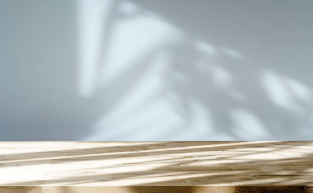 istock Table shadow background. Wooden table and white empty wall with plant shadows. 1481669849