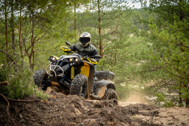 istock Professional quad biker rides in forest. Quad racing, ATV 4x4 1481670715