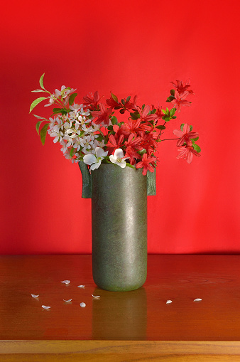 Flower Arrangement with Spring Flowers/Studio Shot