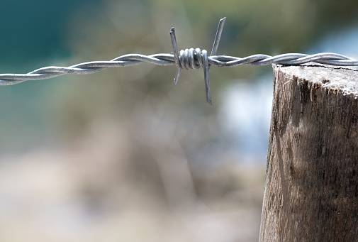 Extreme close up of barbed wire attached to wooden pole against blurred background as concept for lock out lock in borders and prison