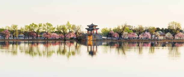 The Summer Palace in Beijing, China, In spring in Beijing, peach blossoms bloom in the Summer Palace. west lake stock pictures, royalty-free photos & images