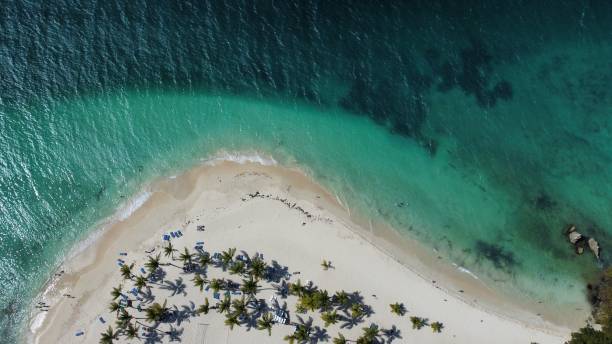 istock Bicardi beach in Samana Dominican Republic (Punta Cana) 1481683897