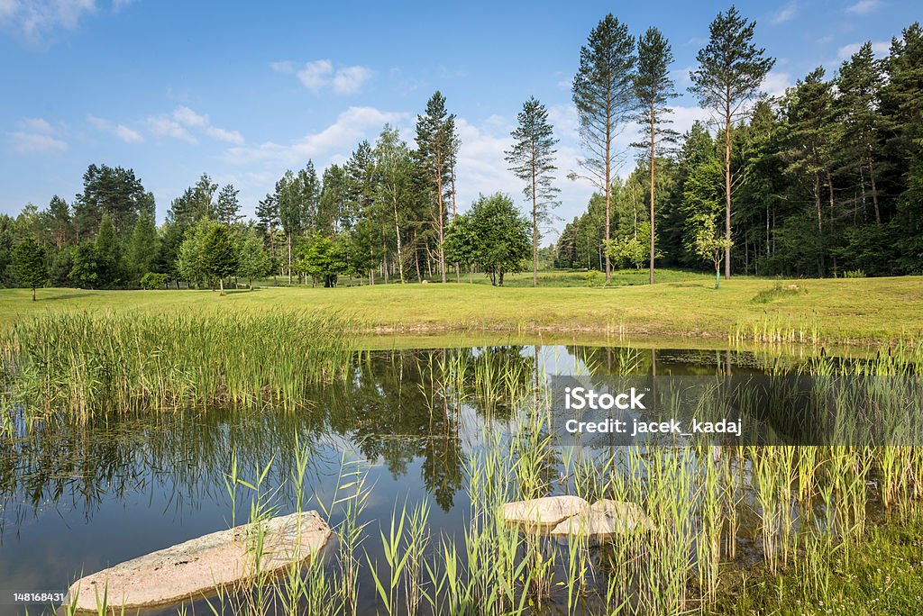 生態ポーランドの景観 - ポドラシェのロイヤリティフリーストックフォト