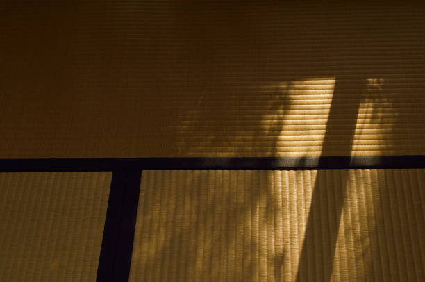 istock Shadow on the Tatami Mat 1481684348