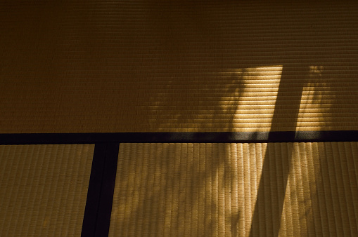 Shadow on the Tatami Mat