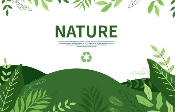 ilustraciones, imágenes clip art, dibujos animados e iconos de stock de primavera naturaleza background, medio ambiente, cero residuos - landscape green tree leaf