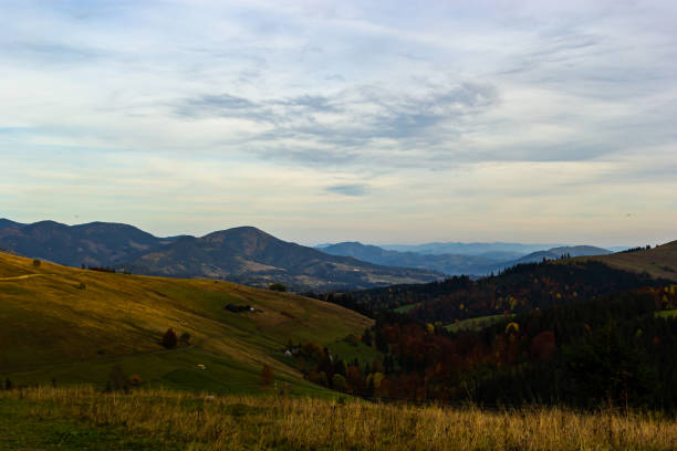 istock Nice landscape with rural meadow in Carpathian mountains, Ukraine 1481687255