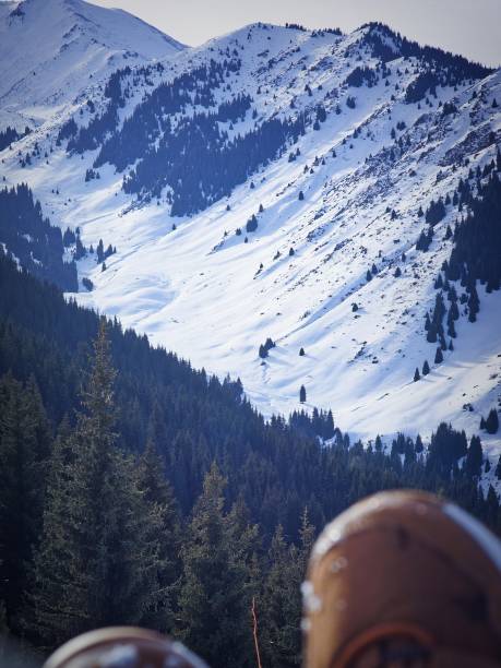 istock hiking in the mountains 1481687760