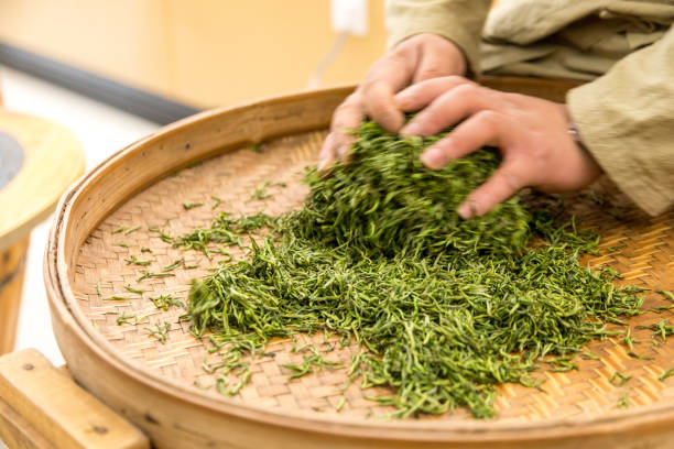 istock Green tea in a flat round basket 1481688664