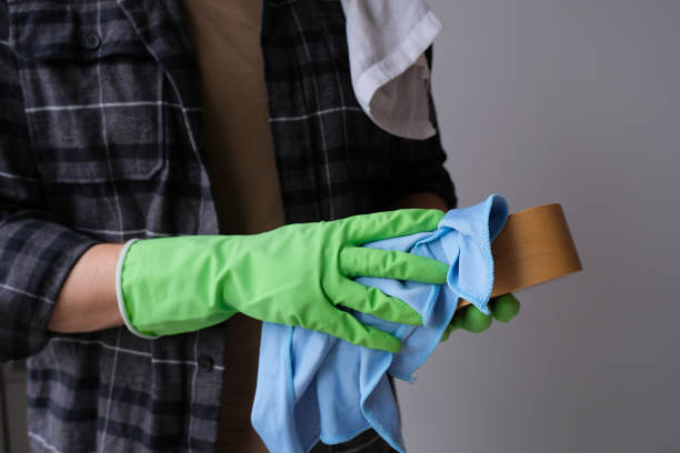 istock person in rubber gloves, cleaning professional service 1481690595