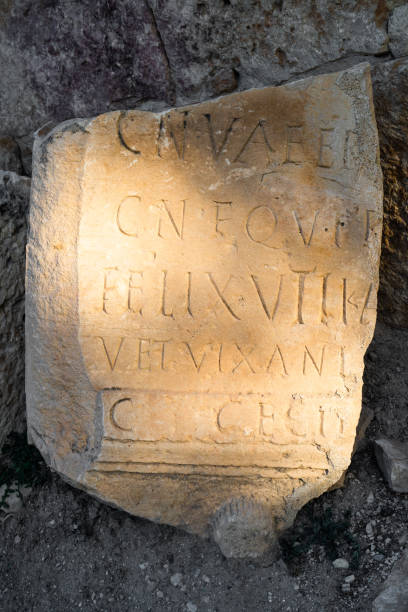 istock remains of the basilica complex of Tebessa 1481691807