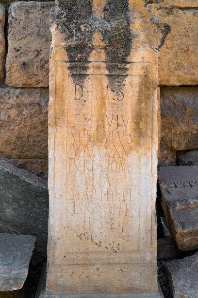 istock remains of the basilica complex of Tebessa 1481692973
