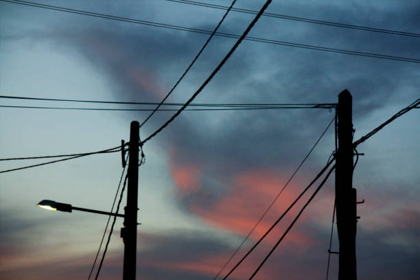 istock Street light, poles and cables silhouetted and dusk background. 1481695575
