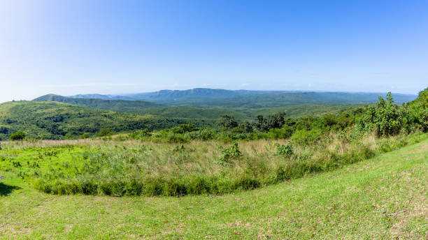 Safari wildlife rugged scenic landscape overlooking thick bush grass trees hills and valley blue sky photograph.