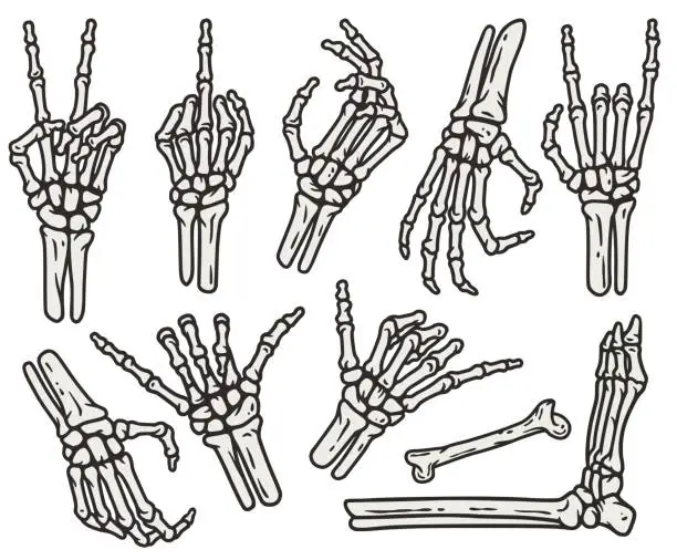 Vector illustration of Skeleton hand gesture set for halloween design. Hand bones gesture collection for tattoo.