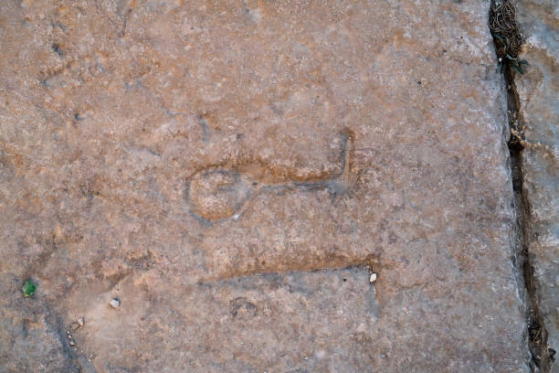 istock remains of the basilica complex of Tebessa 1481699951