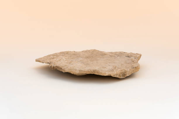 istock Stone podium for cosmetic product presentation. Abstract minimal backdrop. Two rock forms, palm leaf shadow, sunlight. Scene to show. Showcase, display case. 3D Front View. Trendy summer nude color. 1481700335