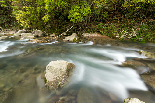 mountain stream, green ecology