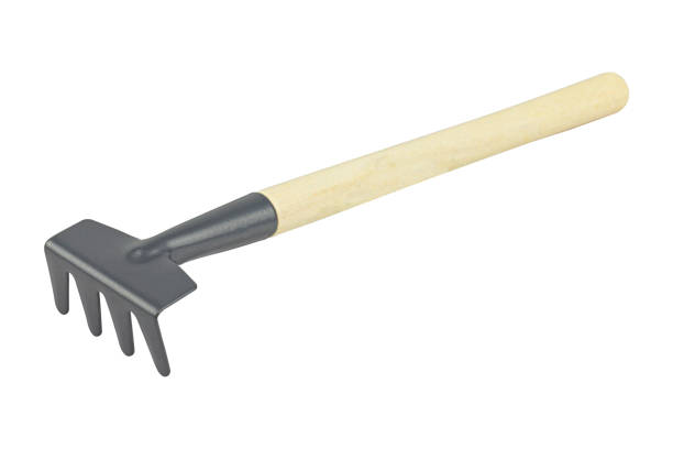 istock houseplant care rake isolated from background 1481702368
