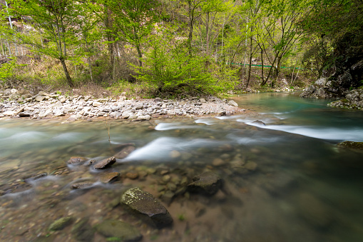mountain stream, green ecology