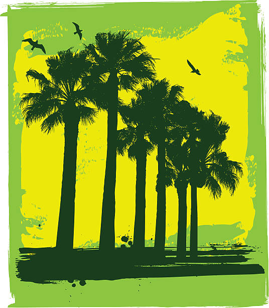 palm trees and seagull palm trees and seagull silhouette hollywood california stock illustrations