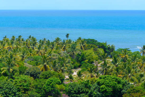 istock Landscape view from Arraial d'Ajuda - Bahia 1481714920