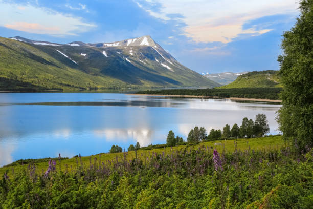 istock Lake Gjevillvatnet, Norway 1481715223