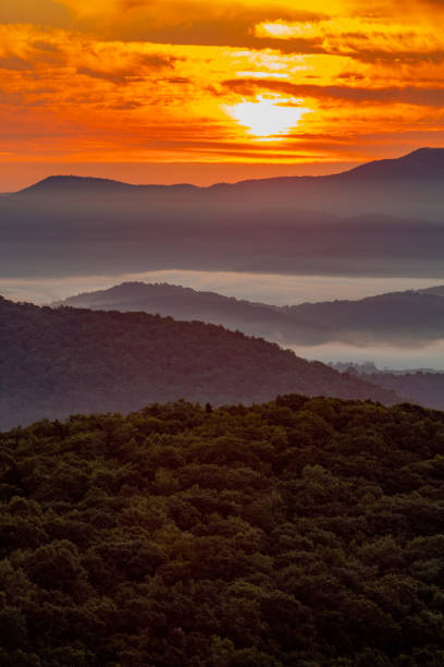 istock Sunrise at Grayson Highlands State Park 1481716922