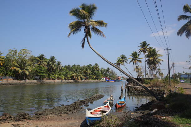 istock fishing boats on Kerala backwaters 1481717585
