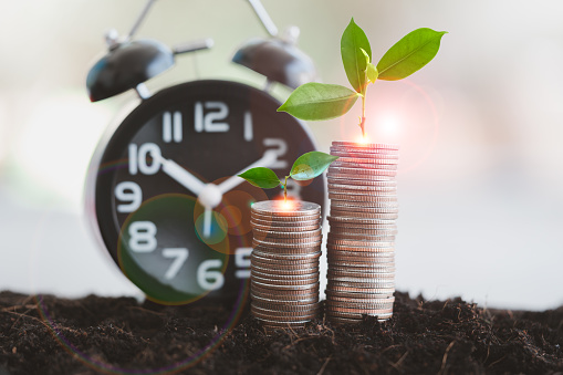 Young plant growing up on coin and clock standing on soil. Money growth concept. Financial planning, investment and time to saving money