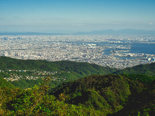 istock Osaka birds eye urban view. 1481725302