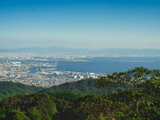istock Osaka birds eye urban view. 1481727172