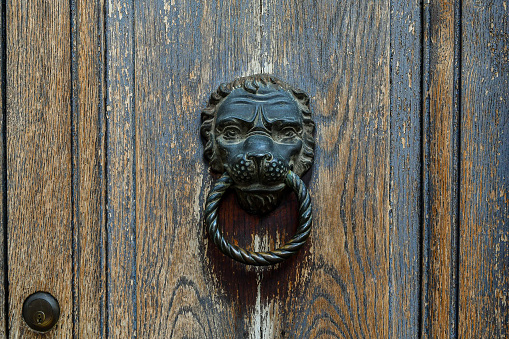 Close-up of a beautiful Lion door knocker.