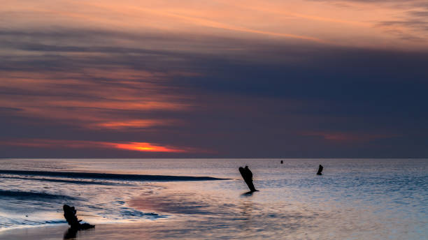 istock Beach poles in the sea sunset 1481730482