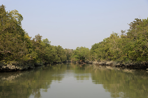 Sundarbans is the biggest natural mangrove forest in the world, located between Bangladesh and India.this photo was taken from Bangladesh.