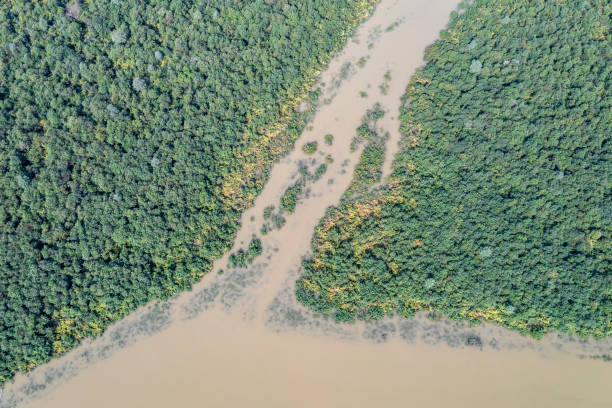 istock Lake, river and forest from above 1481731706