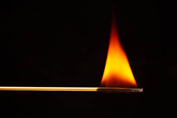 istock Burning wood match on a dark background close-up. burning tree fire 1481737241