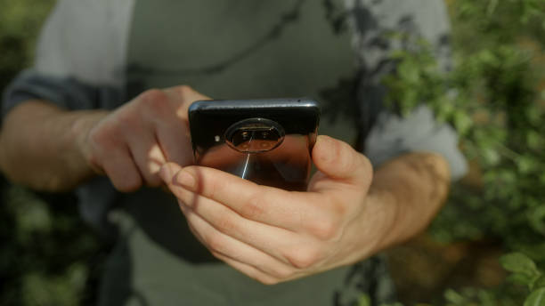 istock Technology Meets Agriculture: Young Farmer Utilizing App on Smartphone in Close-Up 1481738774