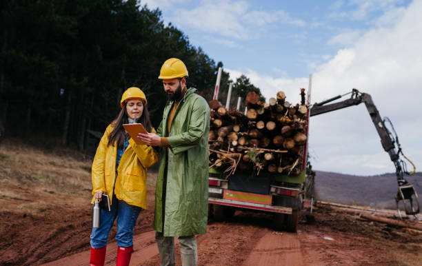 istock Two Forest rangers in the forest 1481742568