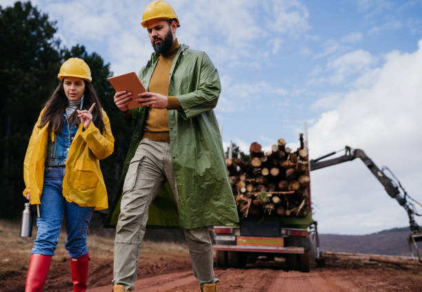 istock Two Forest rangers in the forest 1481742572